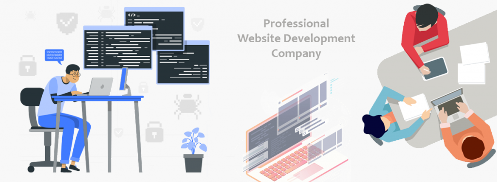 Professional Website Development Company