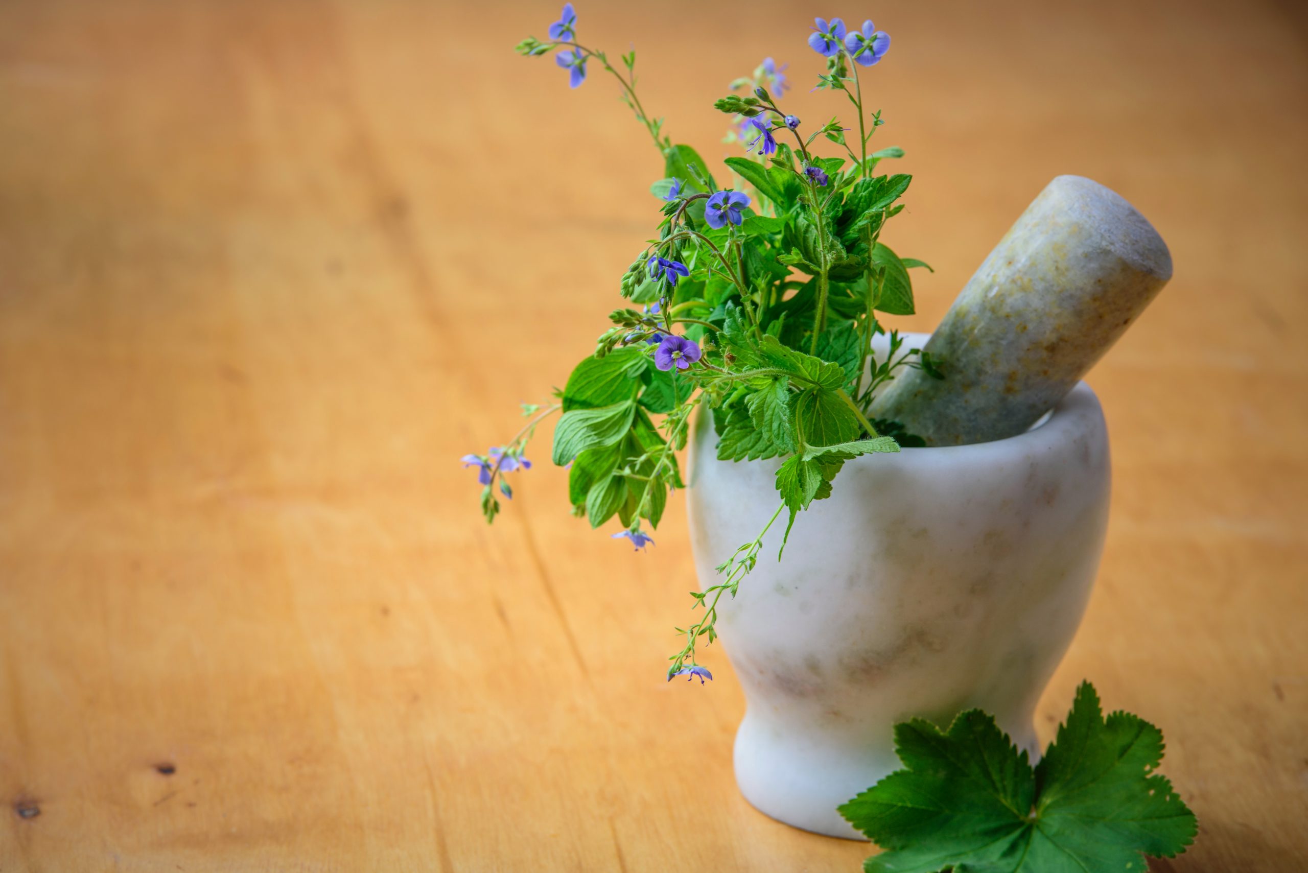 Traditional-Stress-Relieving-Herb-Remedies-Myth-or-Truth