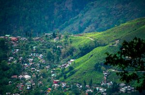 Darjeeling hill station