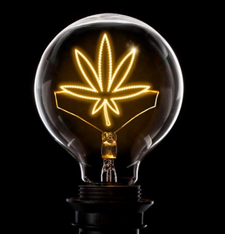 PTSD cannabis