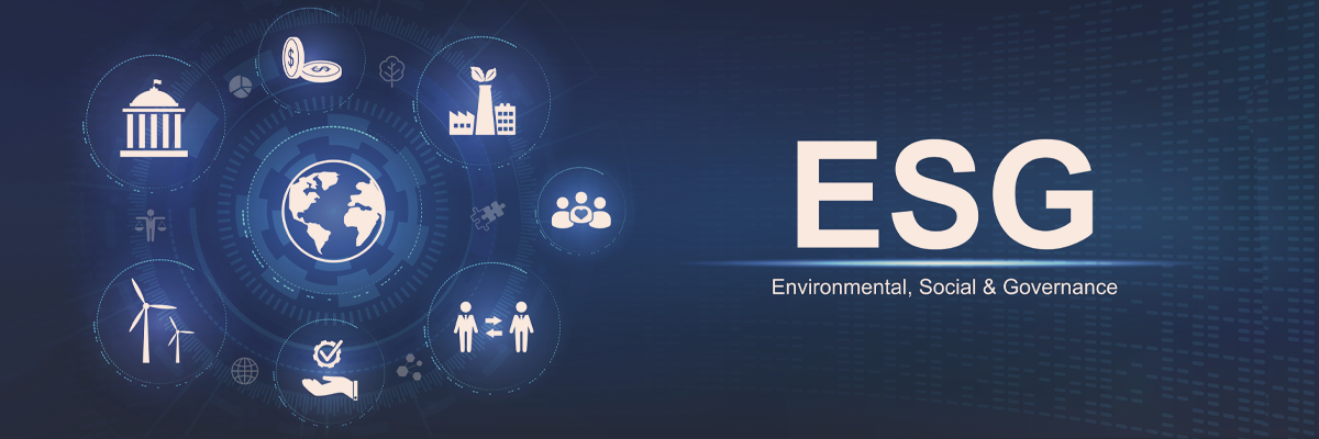 Blockchain Fulfilling Environmental, Social, and Governance Objectives