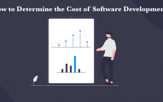 Cost of Software Development