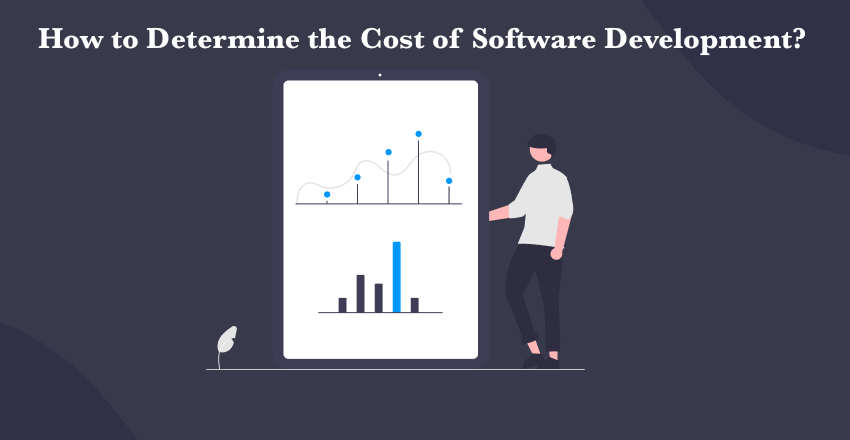 Cost of Software Development